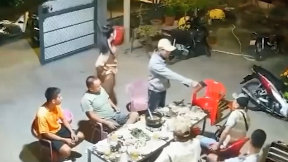 cats_0.jpg