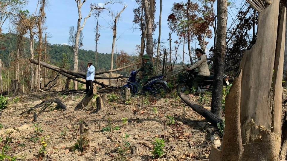 dak_lak_thu_hoi_128000ha_dat_lam_nghiep_bi_lan_chiem_bang_cach_nao_anh_2_20250211192023.jpg
