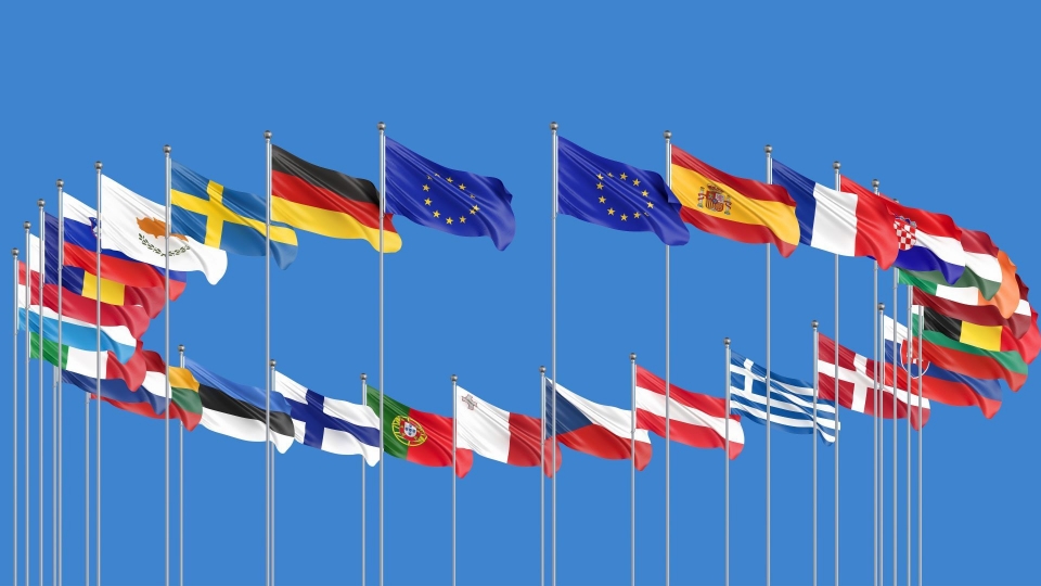 eu-enlargement-flags (1).jpg