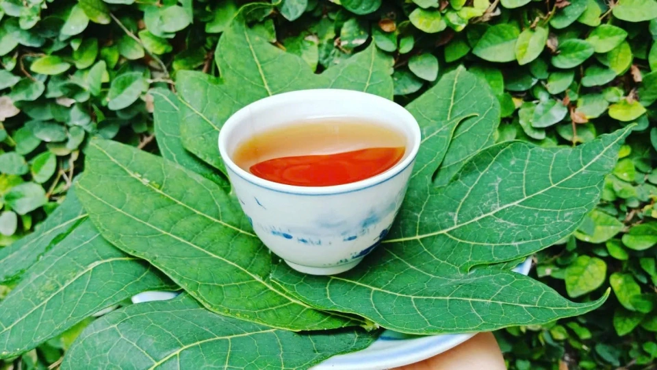 tac_dung_cua_nuoc_la_du_du_1.jpg