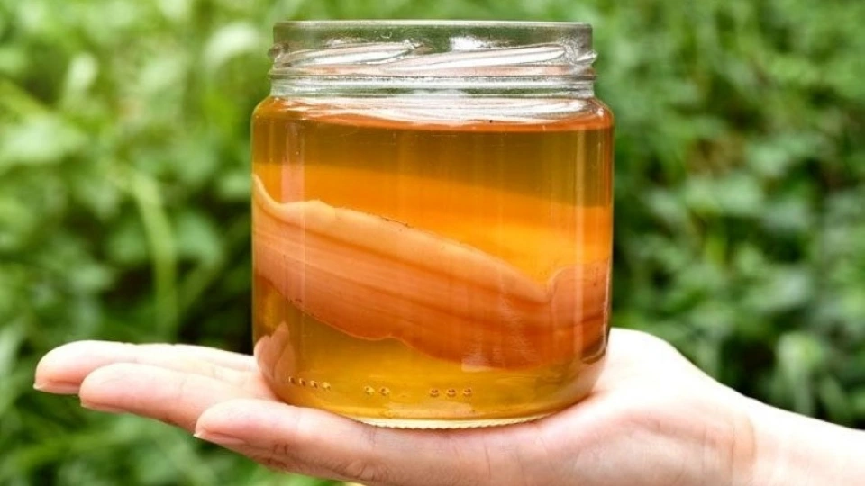 tac_dung_phu_cua_kombucha_1.jpg