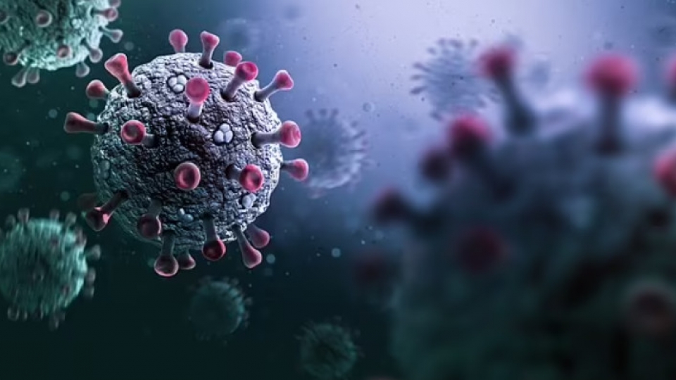 virus_giong_covid.jpg