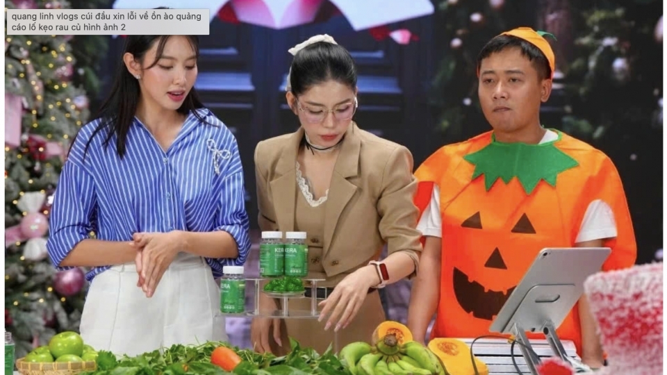 Quang Linh Vlog's.png