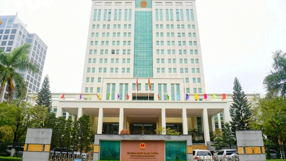 a1.jpg