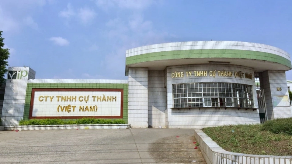 cong_ty_tnhh_cu_thanh.jpg