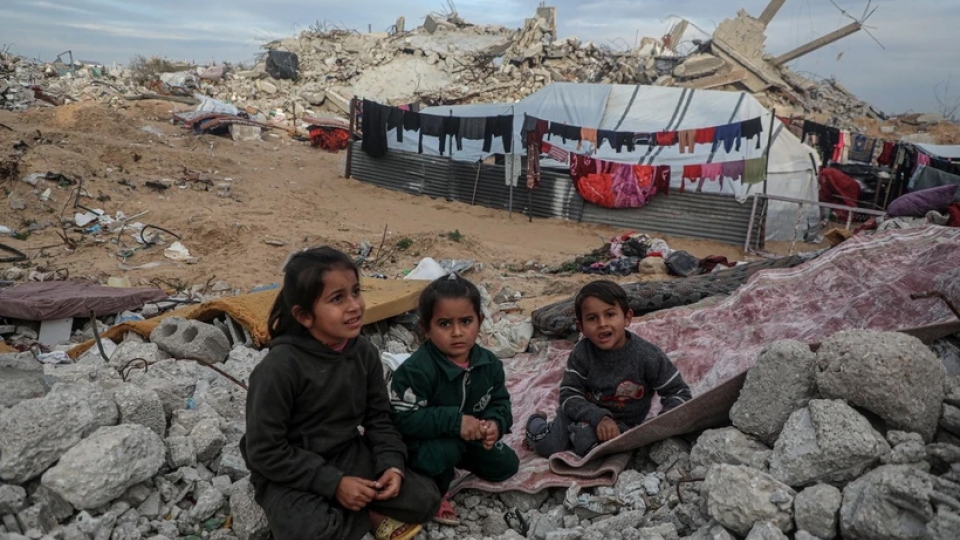 gaza.jpg