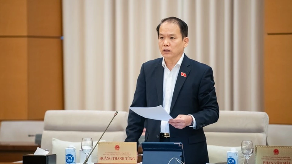 hoang_thanh_tung_thao_luan_thue_tieu_thu_dac_biet.jpg