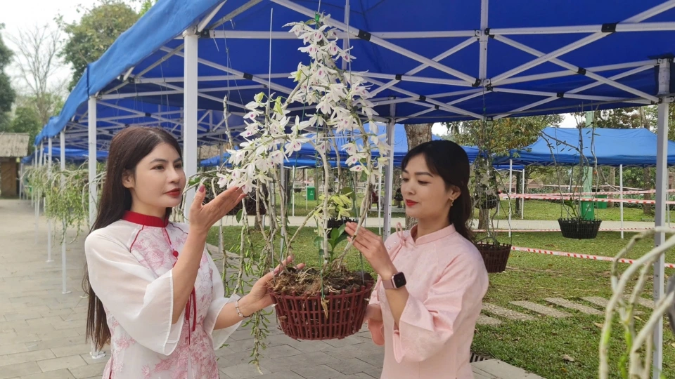trien_lam_hoa_lan_2.jpg