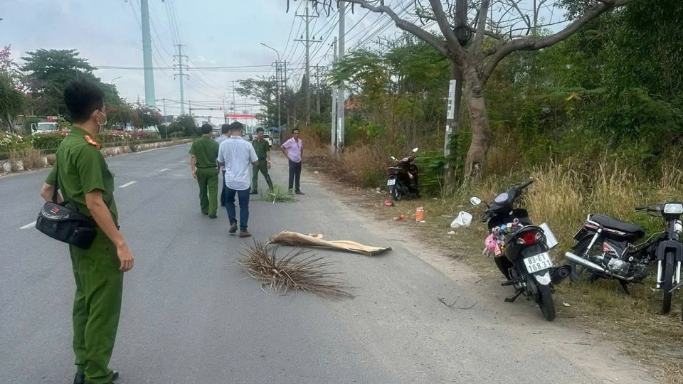 Dam long son .jpg