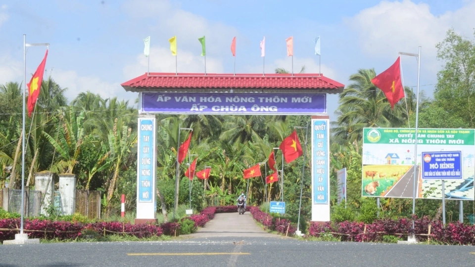 a1.jpg