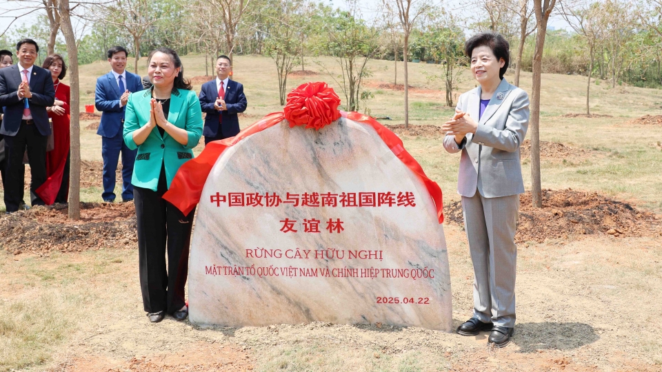 dai_bieu_hai_nuoc_trong_cay_huu_nghi_tai_khu_du_lich_nui_thanh_tu_thanh_pho_nam_ninh_quang_tay_20250422160513.jpg