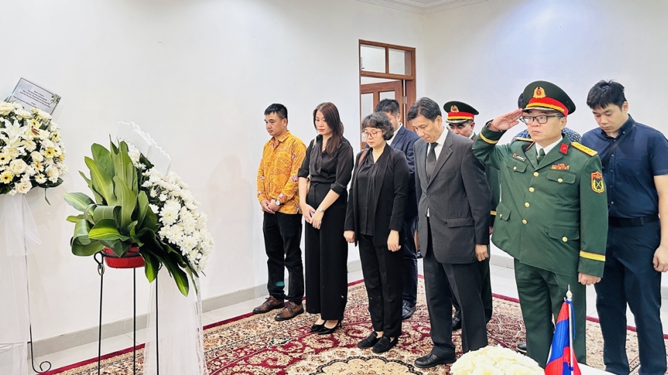 dsq_viet_nam_2.jpg