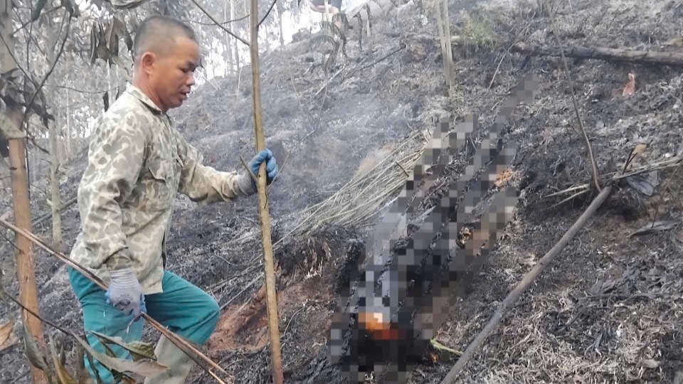 nan_nhan_duoc_phat_hien_tai_khu_vuc_rung_vua_bi_lua_cuon_qua.jpg