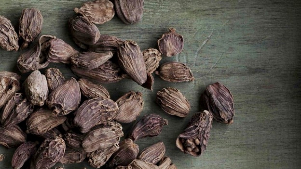 tac_dung_cua_thao_qua_1.jpg