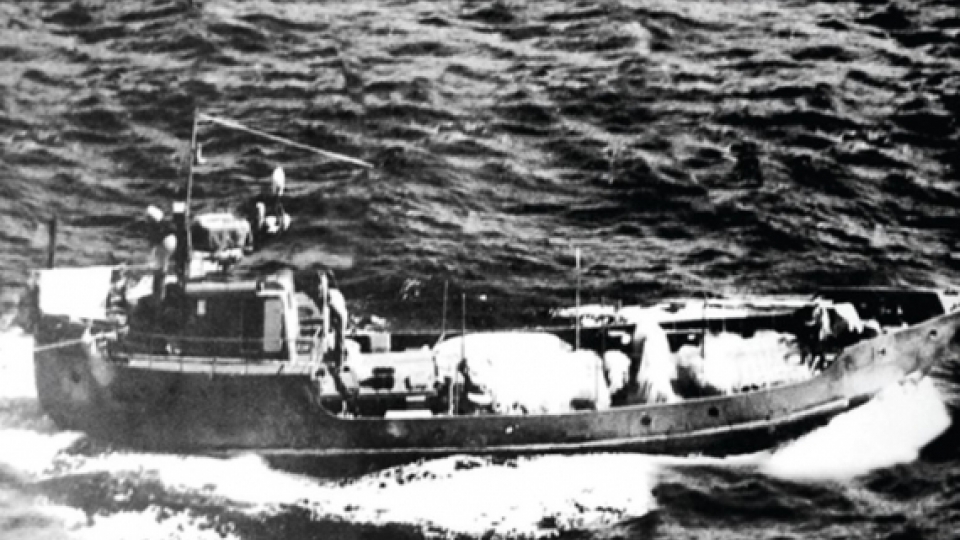 tau khong so.jpg