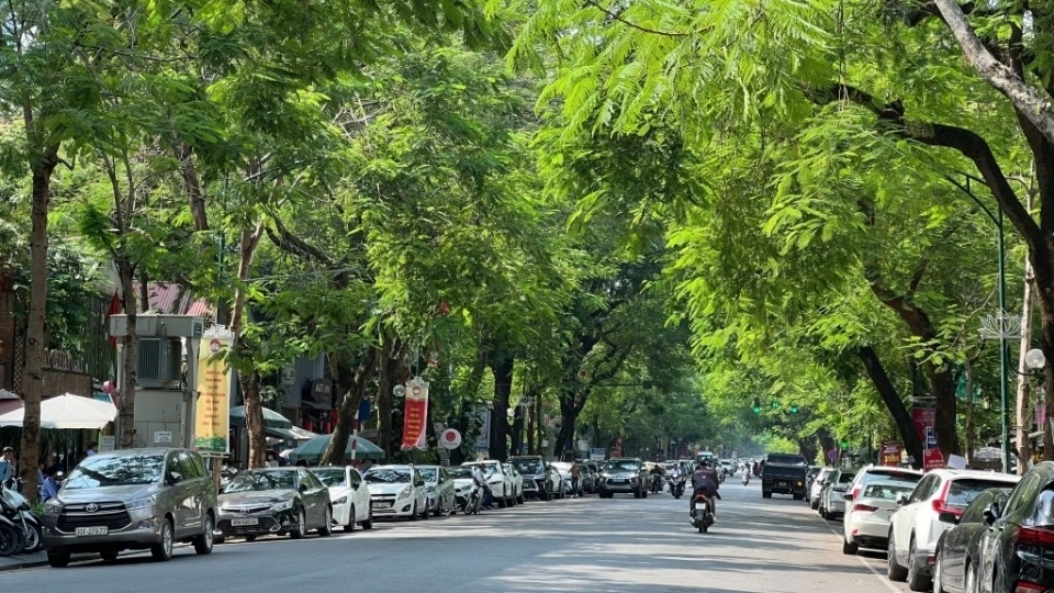 thoi_tiet_ngay_5-4.jpg