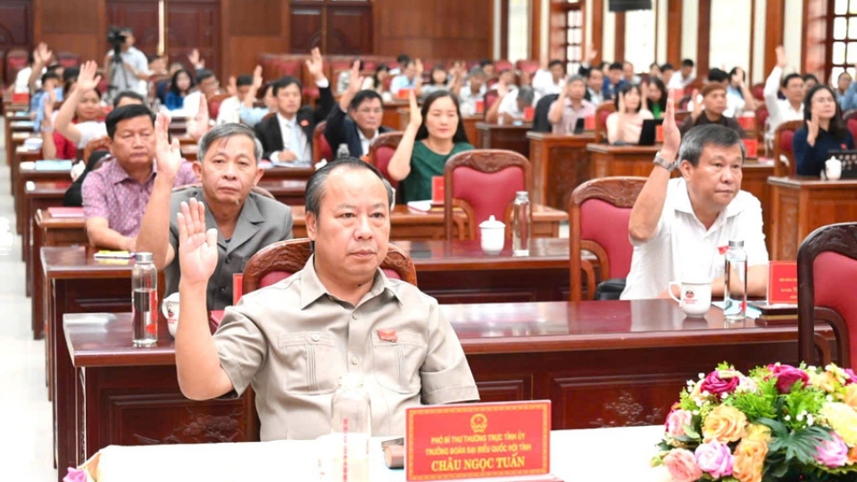cac_dai_bieu_thong_nhat_chu_truong_sap_xep_don_vi_hanh_chinh_cap_tinh_va_cap_xa_tai_gia_lai_anh_duc_thuy.jpg