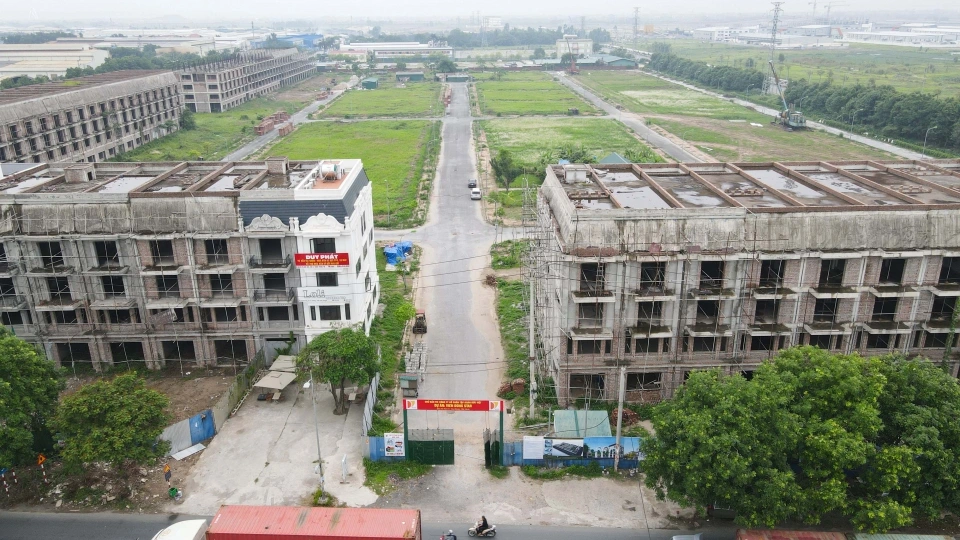 kdt_bo_hoang_3.jpg