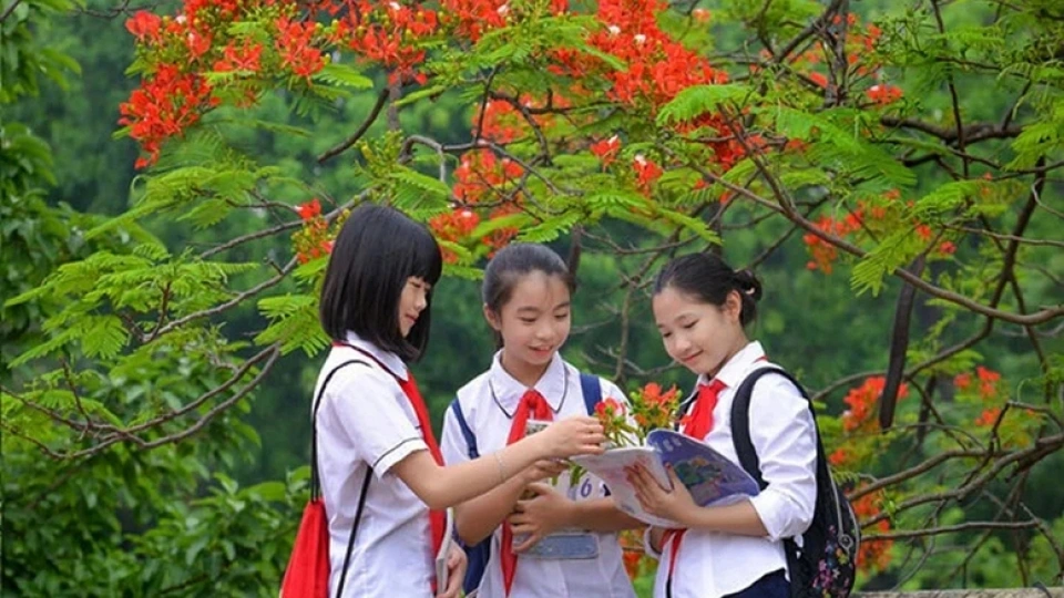 lich-nghi-he-1746891141259408897978.jpg