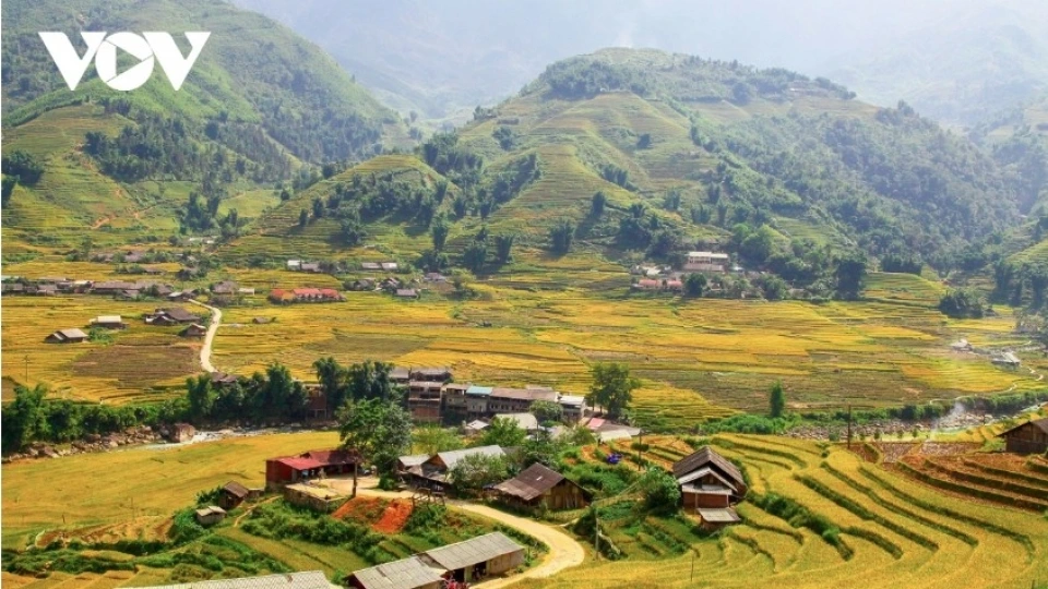 sapa.jpg