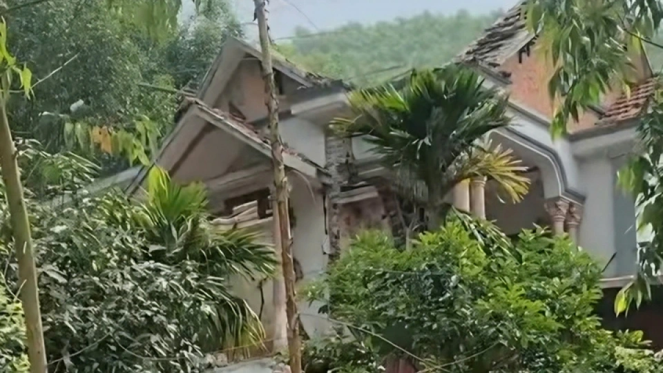 tn-10550529.jpg