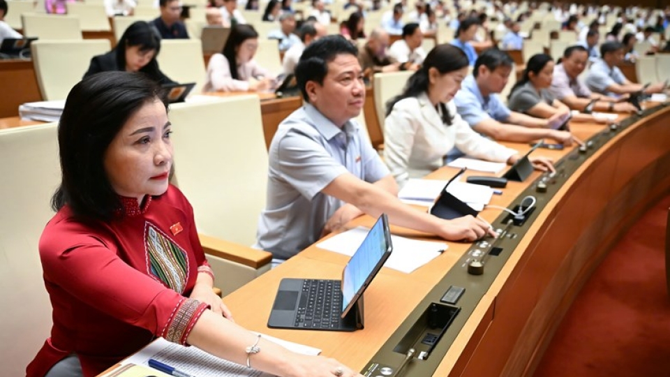 bieu quyet tai ky hop 9.jpg