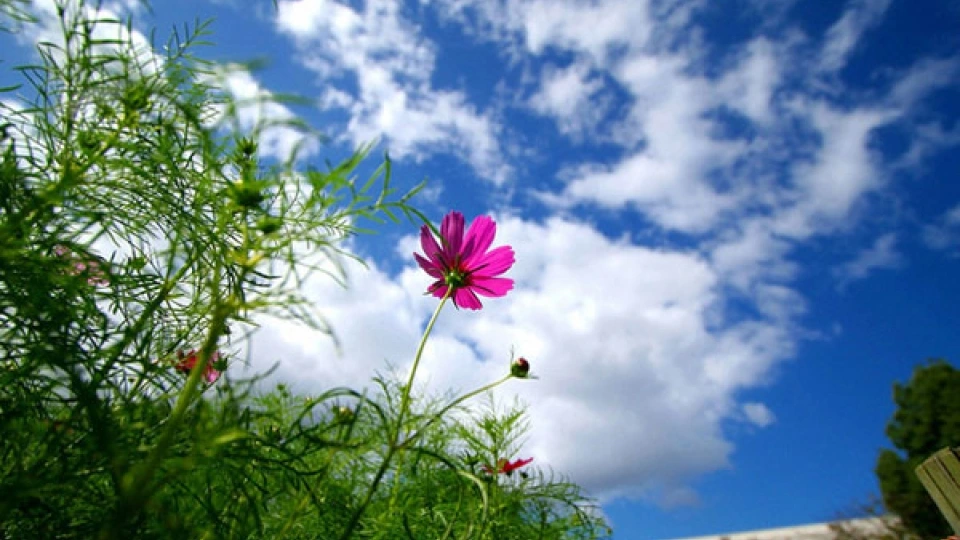 thoi_tiet_ngay_mai_24-6.jpg
