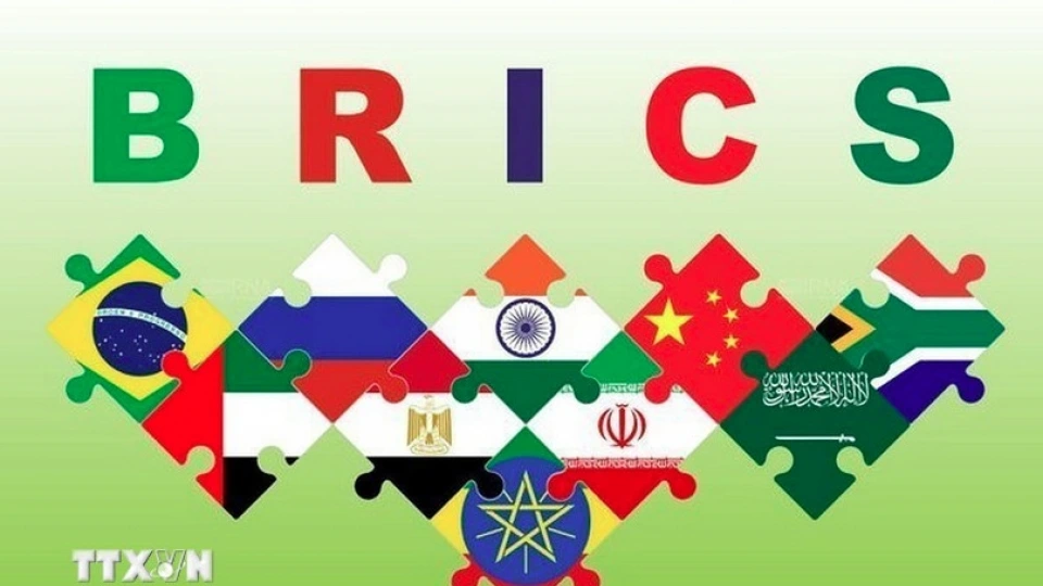 brics.jpg