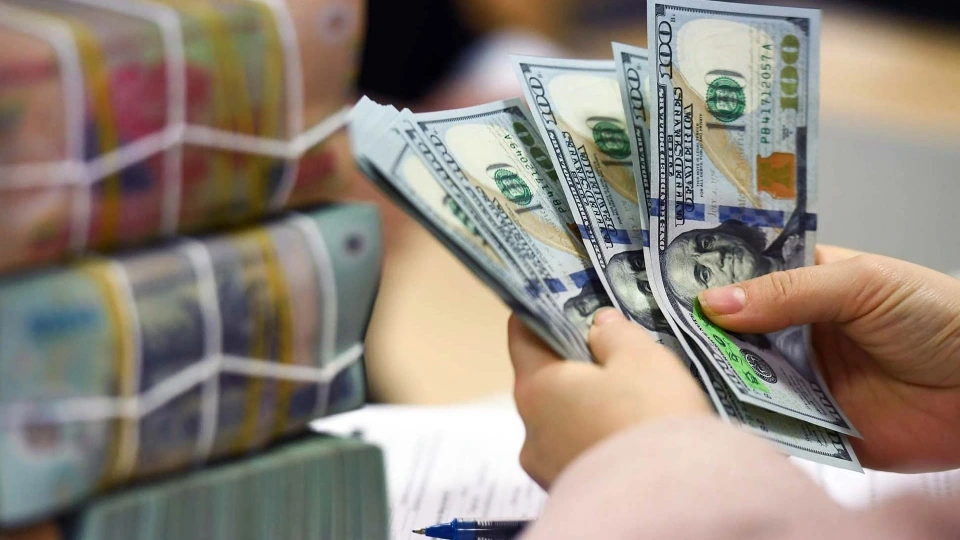 dong-usd-1-1226-928-1395-549-1138-843.jpg