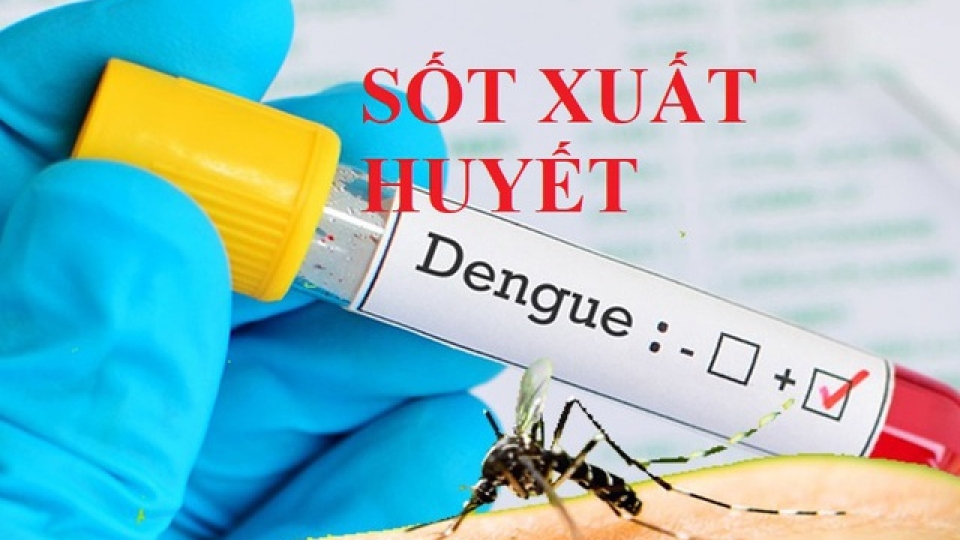 sot_xuat_huyet.jpg
