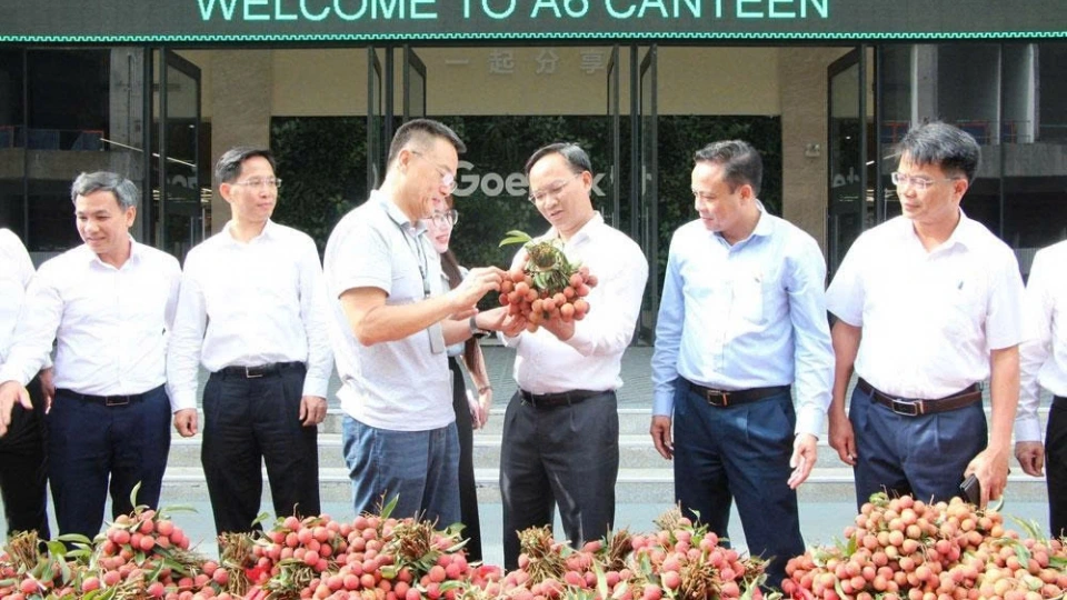 vai_thieu_1.jpg