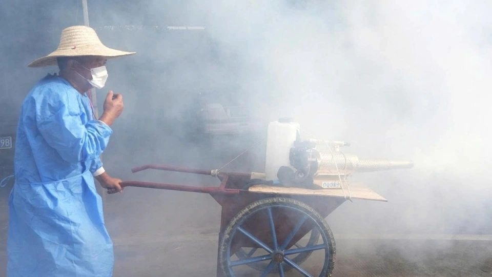 chikungunya.jpg