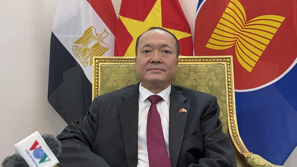 dai_su_viet_nam_tai_ai_cap_nguyen_huy_dung_anh_vov_cairo.jpg