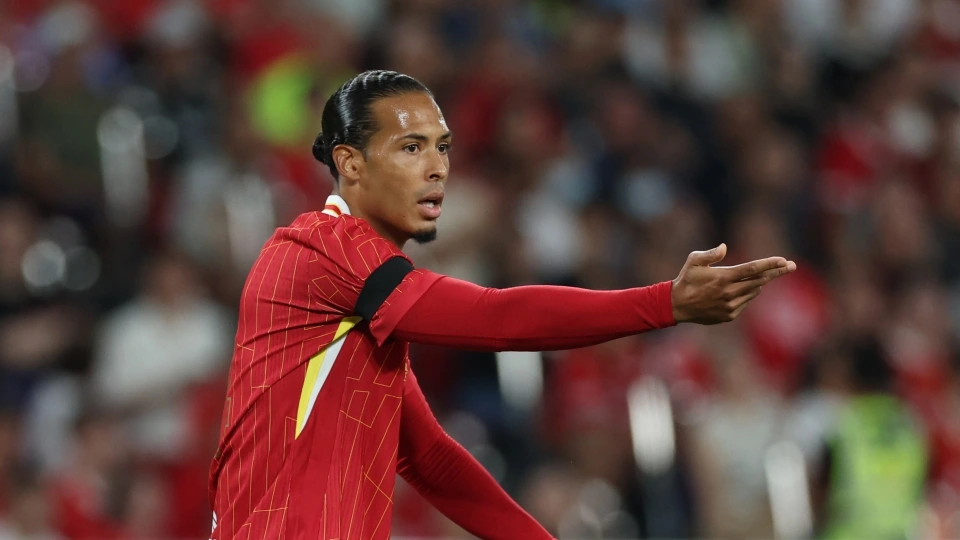 dijk.jpg