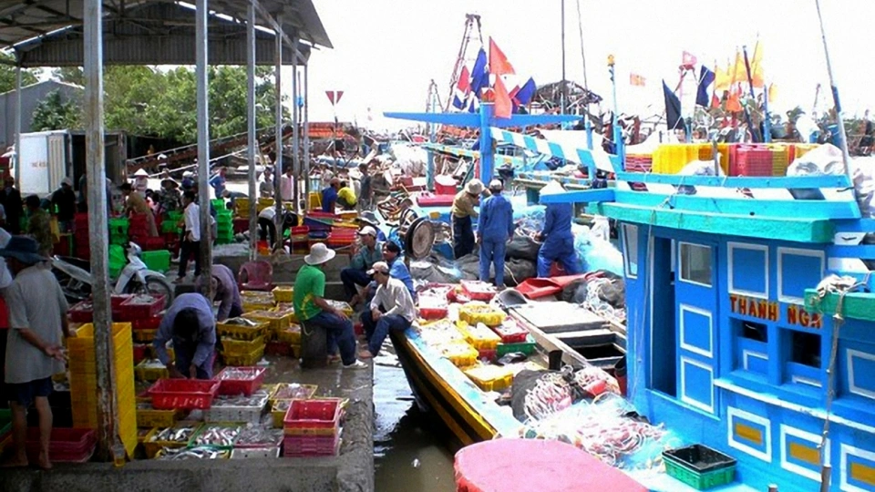 iuu2.jpg
