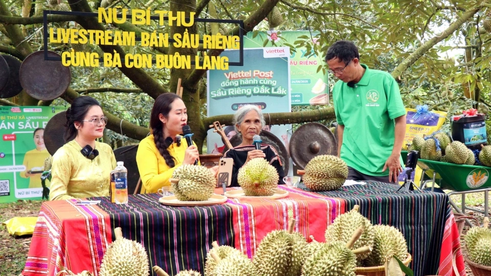 live1.jpg