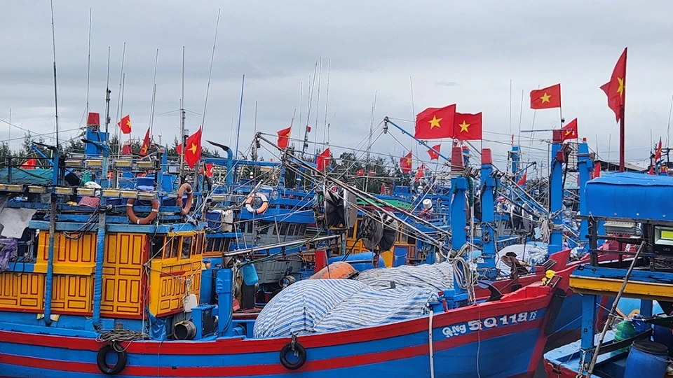tau_ca_quang_ngai_san_sang_vuon_khoi.jpg