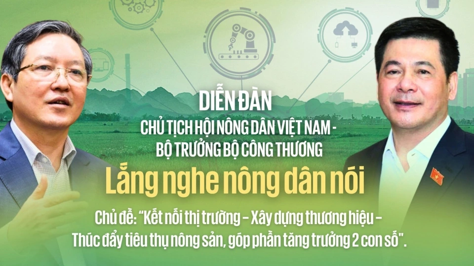 cover-dien-dan-08171.jpg