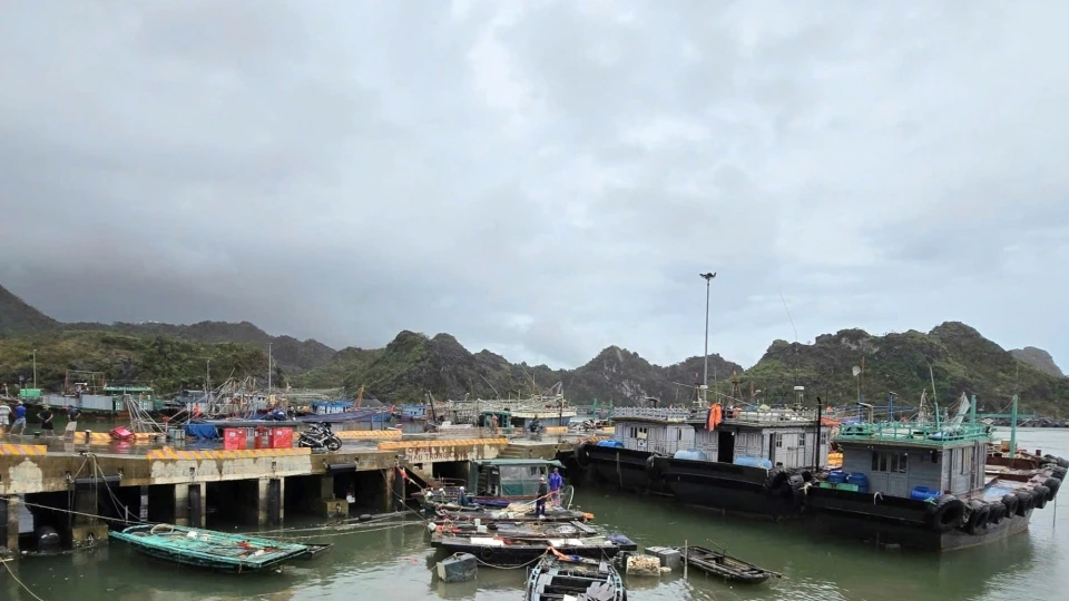 Hải Phòng cấm biển phòng tránh bão số 11.jpg