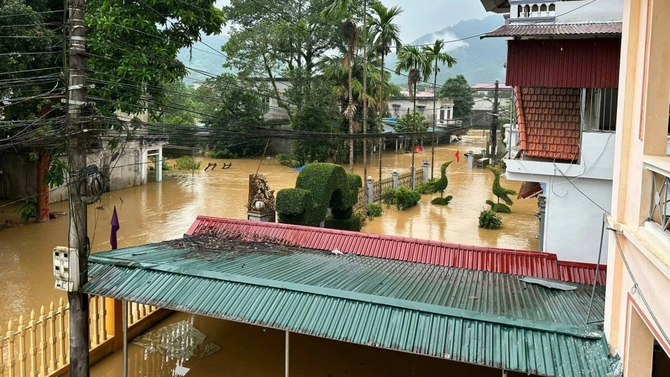 ngap lut 2.jpg