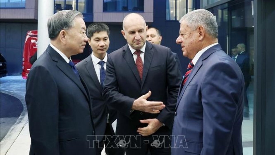 to_lam6.jpg