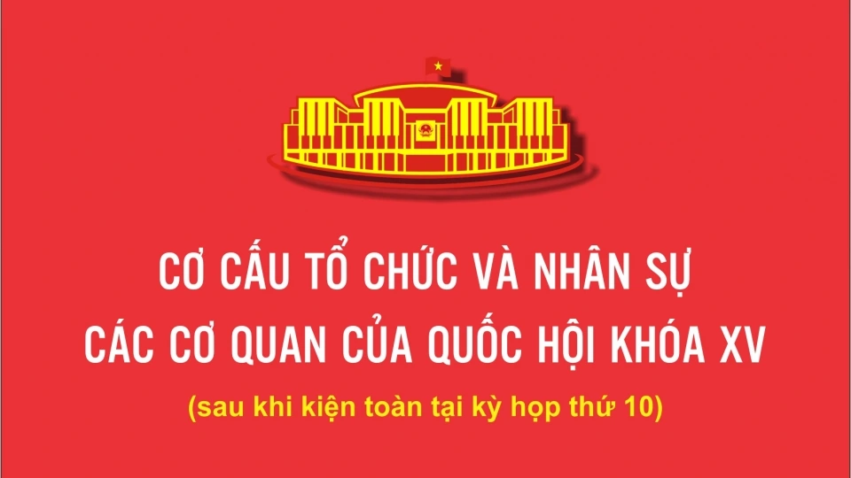 co_cau_to_chuc_quoc_hoi_khoa_15_1.jpg