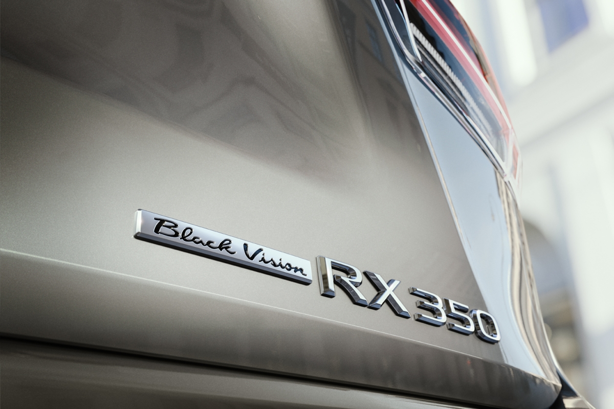 Tại các thị trường Đông Âu nơi thương hiệu này hoạt động, bao gồm cả Nga, chiếc RX Sport Edition mới còn có những nâng cấp đáng kể khác bao gồm bộ aero kit giúp vẻ ngoài của xe thêm khỏe khoắn và thể thao. Bộ kít này sẽ bao gồm cánh gió thấp phía trước, cản sau thấp hơn và ngưỡng cửa bên, được sơn đồng màu với thân xe cùng với logo “Black Vision” trên cửa sau.