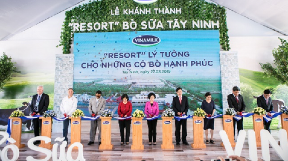 Trang trại bò sữa Vinamilk Tây Ninh được khánh thành 2017, là trang trại có quy mô lớn và hiện đại nhất của Vinamilk.