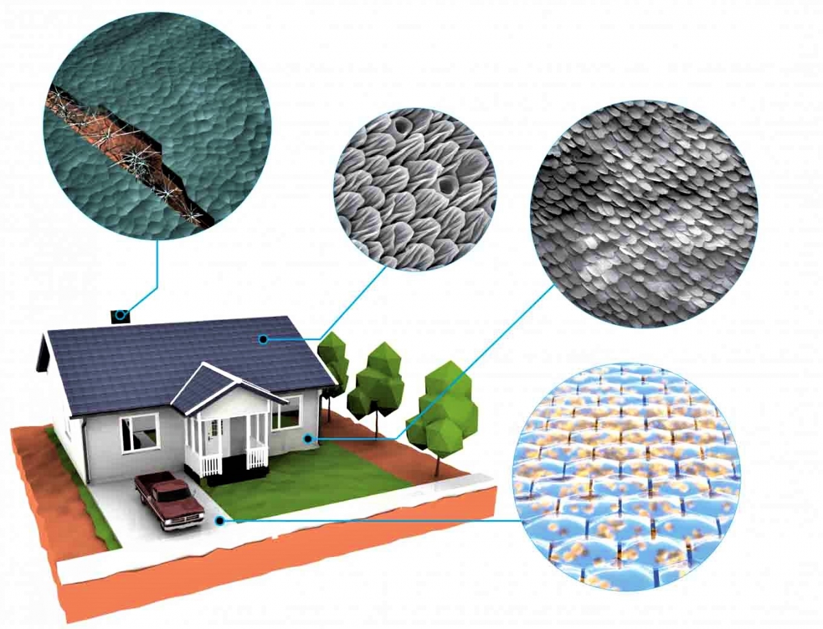 Dự án của DARPA nhằm tạo ra các vật liệu xây dựng có thể tự hồi phục trong trường hợp bị hư hỏng; Nguồn: N&amp;T