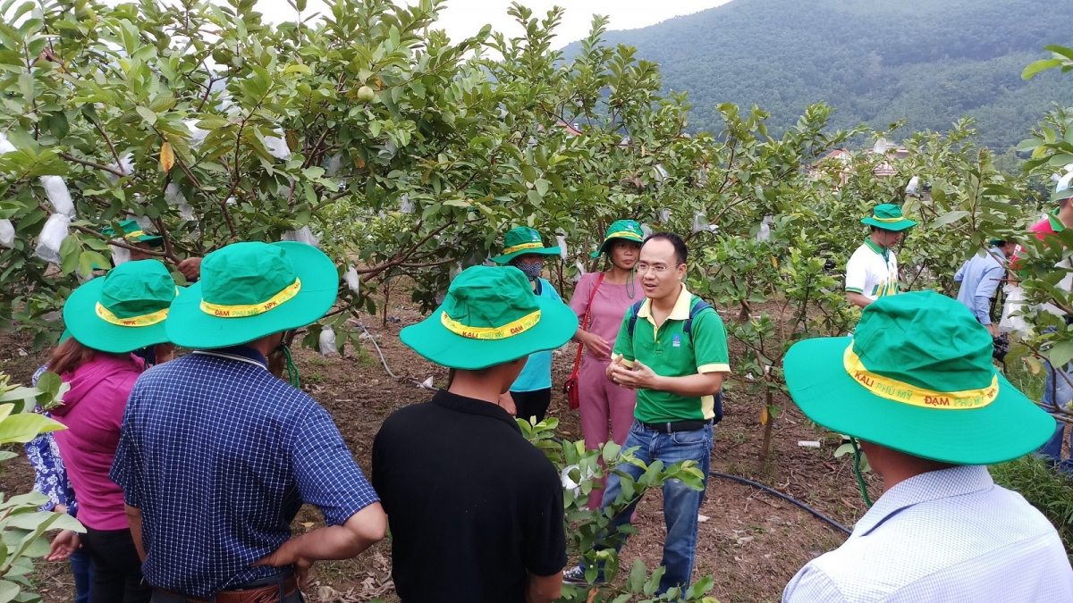 Không chỉ là tiếp thị, bán hàng mà cán bộ thị trường còn là chuyên gia tư vấn nông nghiệp, phân bón cho bà con