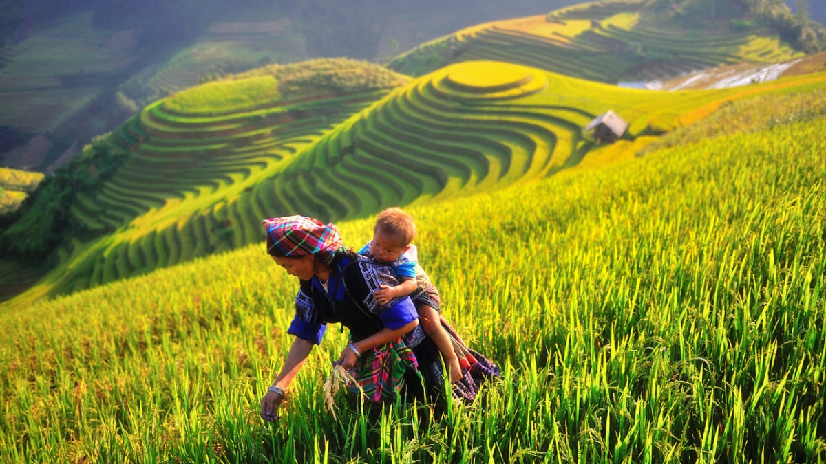 Các tour du lịch khám phá mùa thu Tây Bắc là sản phẩm điểm nhấn được nhiều doanh nghiệp lữ hành giới thiệu trong đợt kích cầu lần 2.