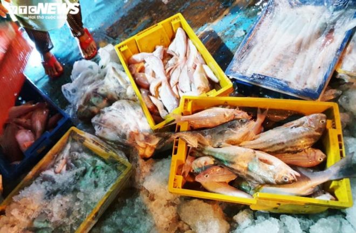 Tất cả các loại hải sản đều được bán hết vì giữa chủ tàu và tiểu thương là "đối tác" nên dù thời tiết mưa bão nhưng không xảy ra tình trạng ép giá, làm giá.