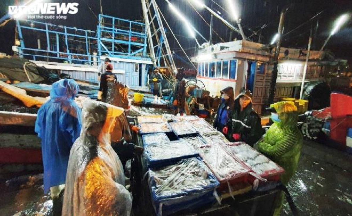 1h45 ngày 18/9, trời mưa mỗi lúc một lớn nhưng không khí tại âu thuyền cảng cá Thọ Quang vẫn rất nhộn nhịp, khẩn trương. Tất cả đều chạy đua với thời gian để tránh bão.
