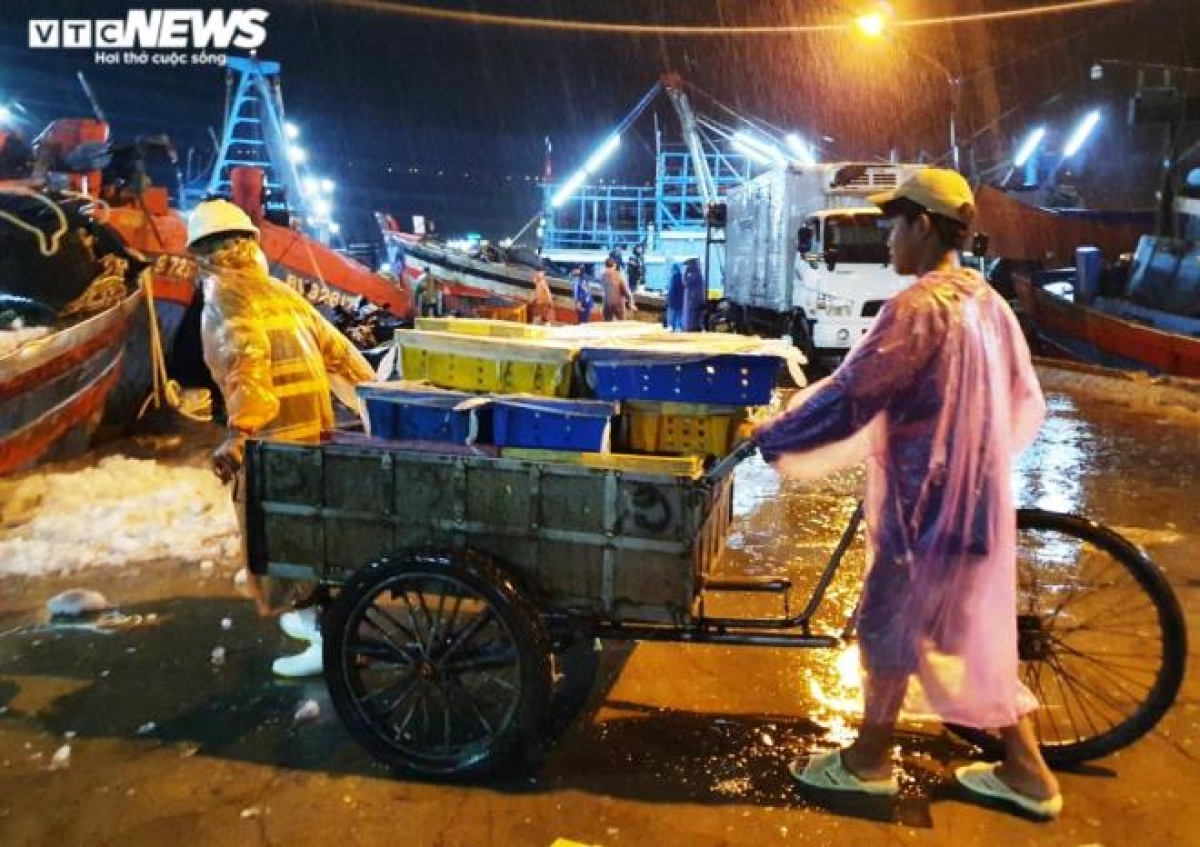 Những xe cá cuối cùng bắt đầu rời âu thuyền, cảng cá Thọ Quang trong mưa.